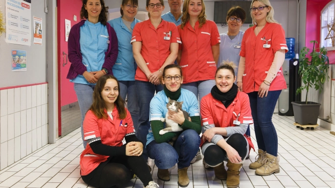 CDI/ALD vétérinaire généraliste à Epernay